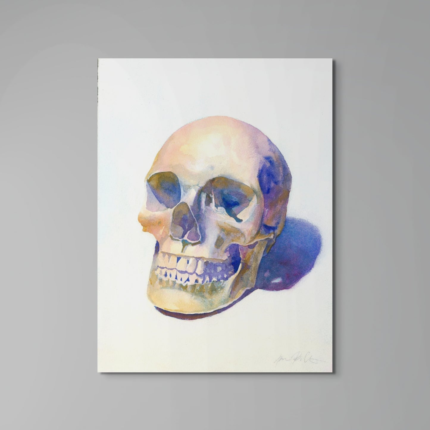 Skull